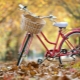 Обзор бюджетных велосипедов и советы по их выбору 