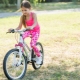 Велосипеды для девочек 10-12 лет: рейтинг производителей и выбор