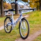 Велосипеды Stels: плюсы и минусы, разновидности и советы по выбору