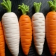 Как слепить морковь из пластилина?