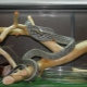 Какими бывают террариумы для змей и как их обустроить?