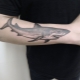 Что означают тату «Акула» и какими они могут быть?