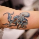 Что означают тату с осьминогами и какими они бывают?