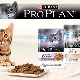 Обзор влажных кормов для кошек и котов Purina Pro Plan