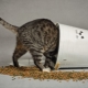 Описание кормов для кошек и котов «Зооменю»