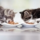 Особенности кормов для котят PURINA ONE