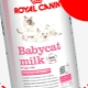 Все о молоке для котят ROYAL CANIN