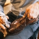 Как ухаживать за кожаной обувью?
