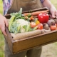 Деревянные ящики для хранения овощей и фруктов