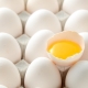 Сколько хранятся яйца без холодильника?