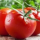 Борная кислота для томатов и особенности ее применения