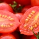 Сколько лет хранятся семена томатов?