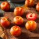 Гибриды сливы и абрикоса: описание и выращивание
