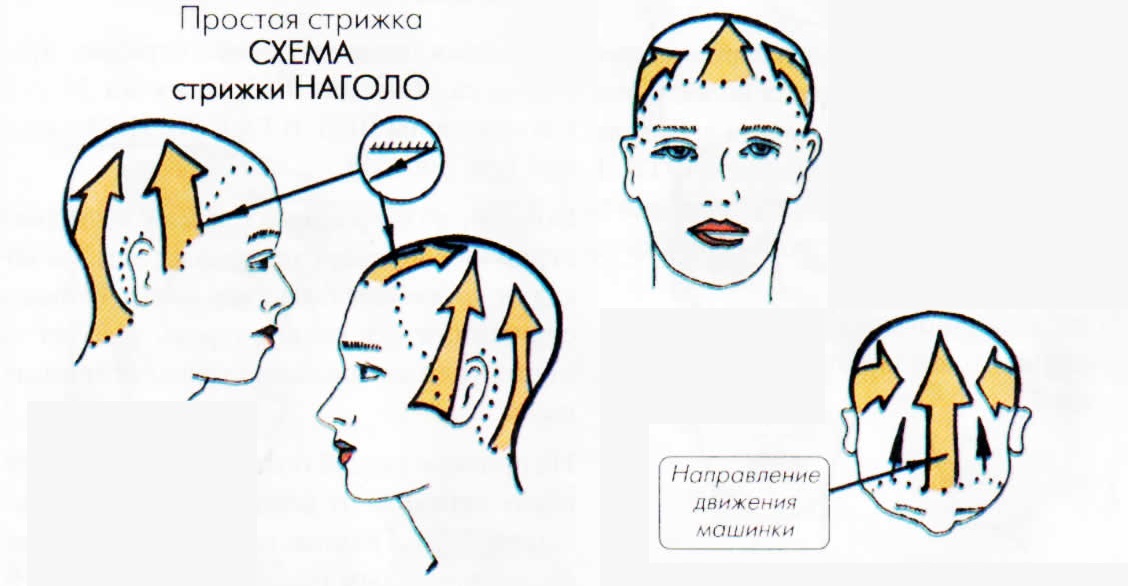 Результат пошуку зображень за запитом стрижка наголо технологія виконання