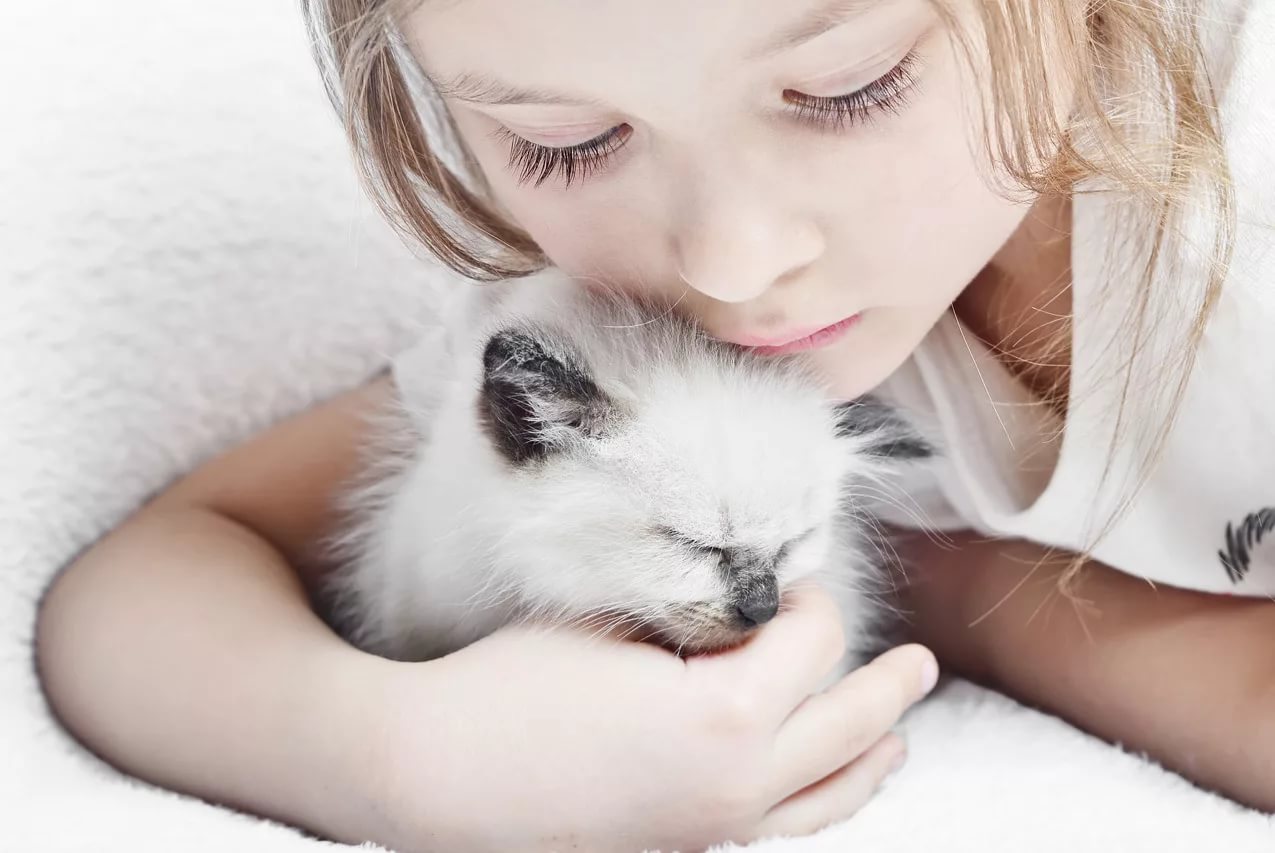 Маленькая девочка с котенком