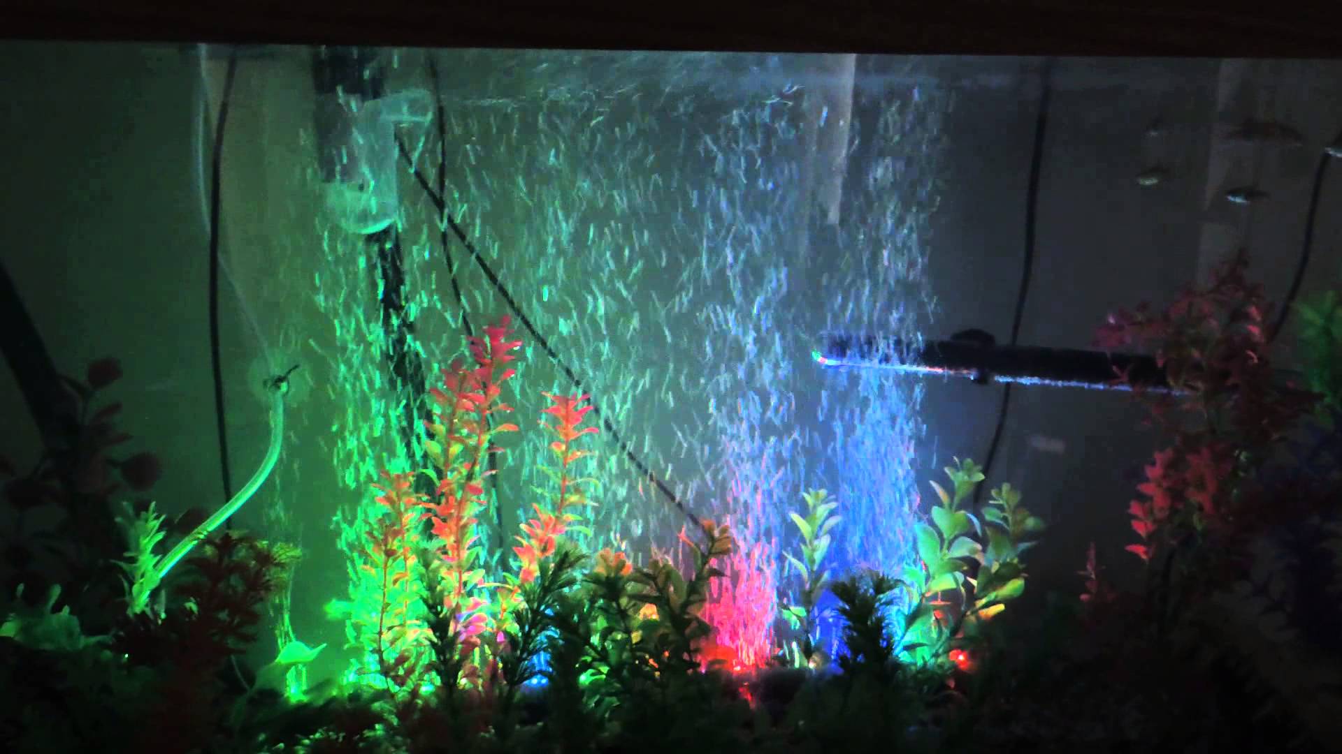 Почему пузыри в аквариуме. Аэратор с подсветкой для аквариума. Распылитель для аквариума. Распылитель воздуха для аквариума с подсветкой. Аэрация с подсветкой для аквариума.