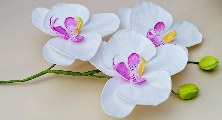 Ветка орхидеи из конфет и гофрированной бумаги – мастер-класс по созданию шикарного букета