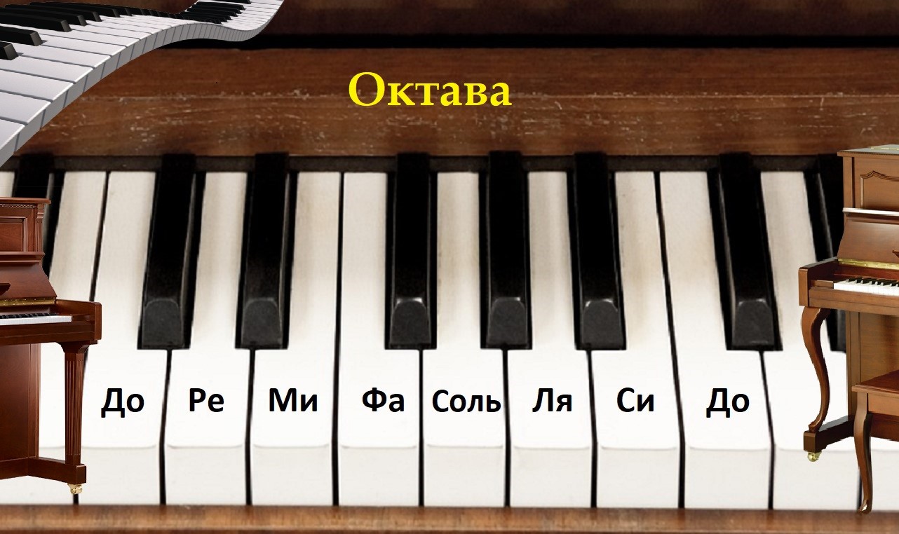 10 октава. Нотная клавиатура 1 Октава. Клавиатура пианино 1 Октава. Клавиатура пианино октавы. Клавиатура фортепиано одна Октава.