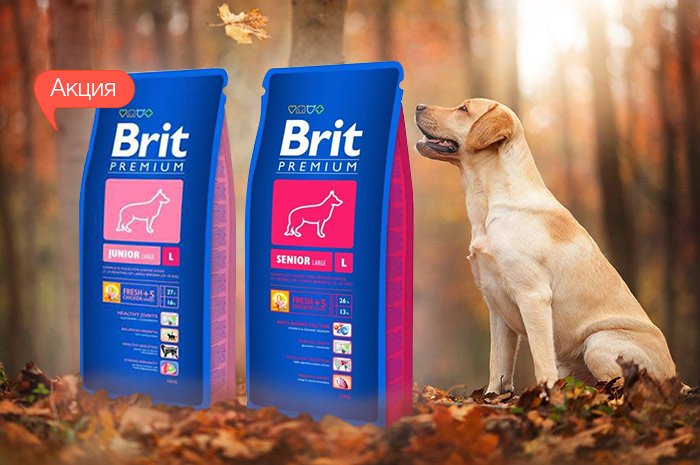 Сухой корм для собак best. Brit Premium логотип. Brit Premium для собак 4кг. Brit Premium sensitive 18кг. Brit для собак средних пород 15 кг.