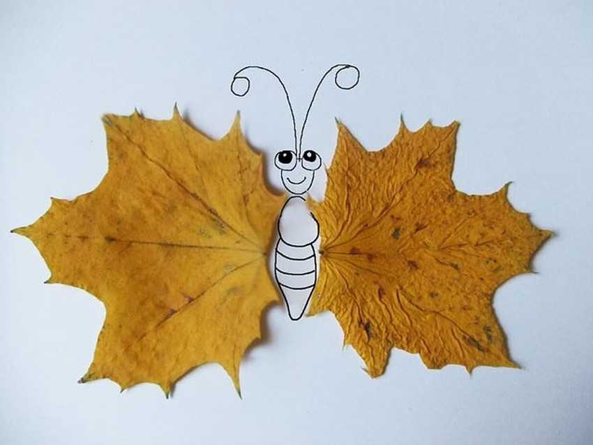 Бабочка Из Листьев Фото