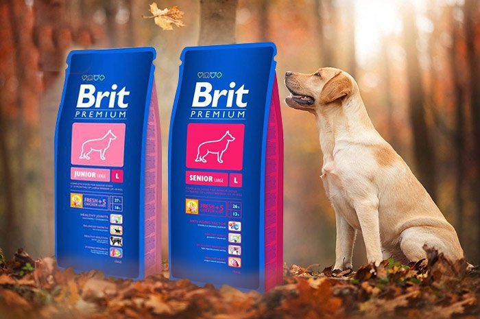 Очень хорошо раскупаются потребителями сухие корма для собак brit. 
