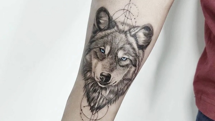 Волк - и волчица