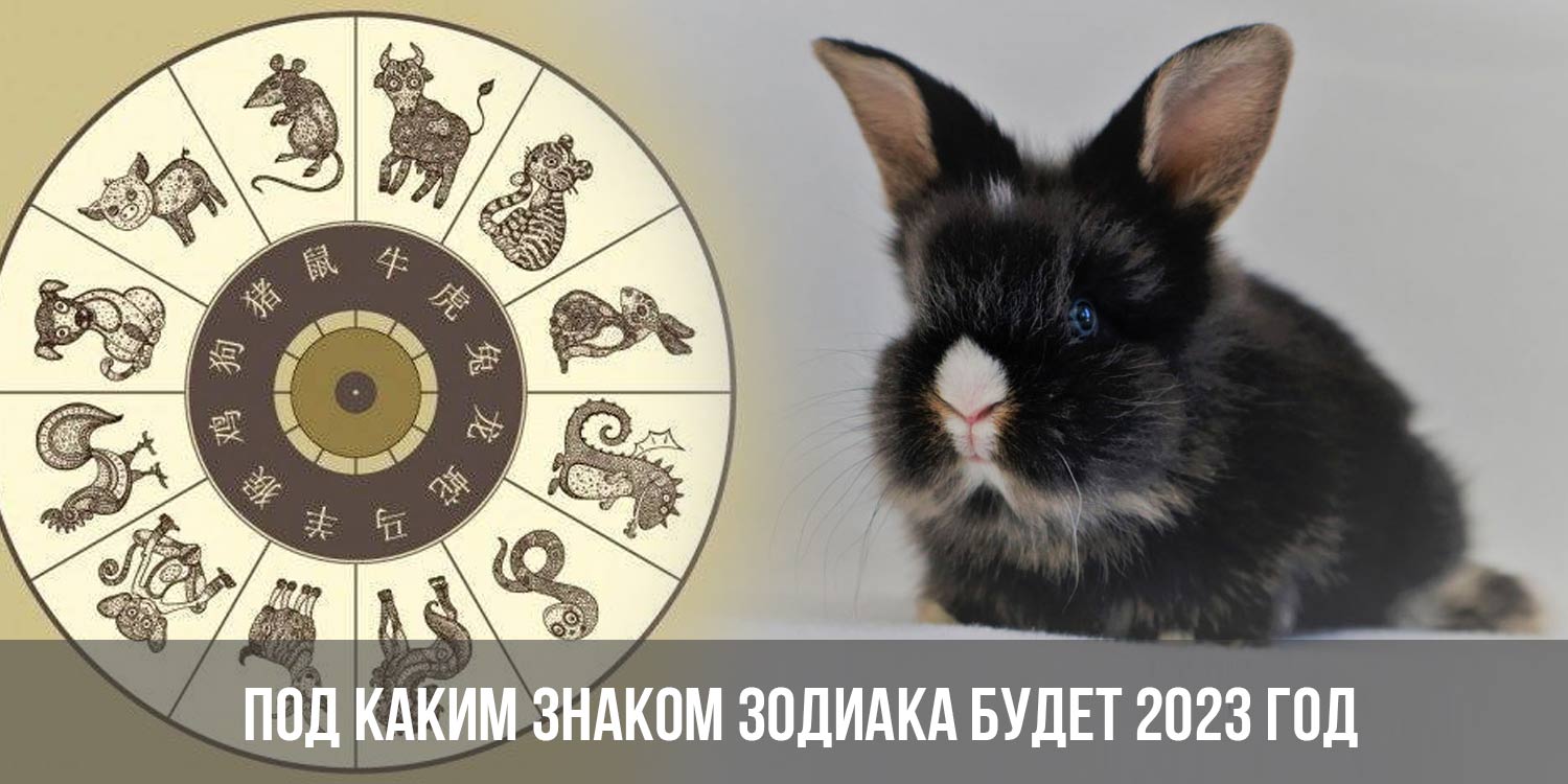 10 октября 2023 год. Знак зодиака 2023 года. 2023 Год год кролика. Год водяного кролика 2023. Следующий год 2023 какого животного.