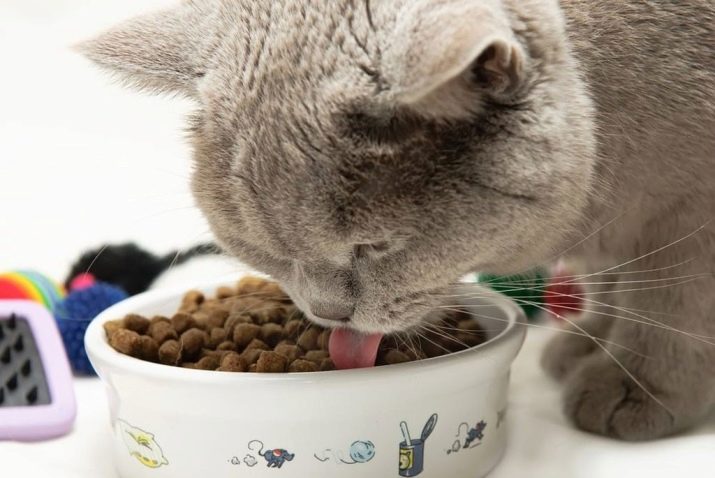 Что значит гипоаллергенный корм для кошек