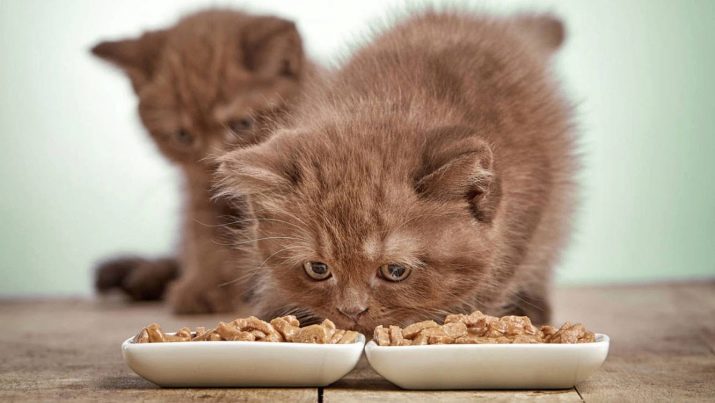 Совмещение кормов для кошек