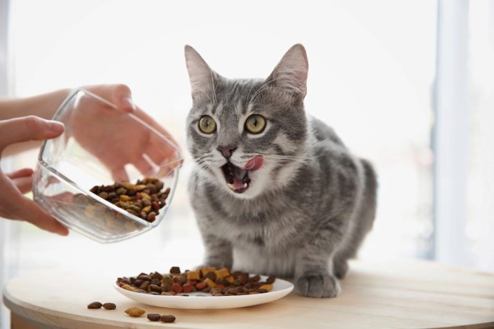 Вегетарианский сухой корм для кошек