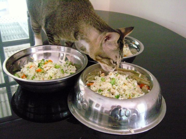 Вегетарианский сухой корм для кошек