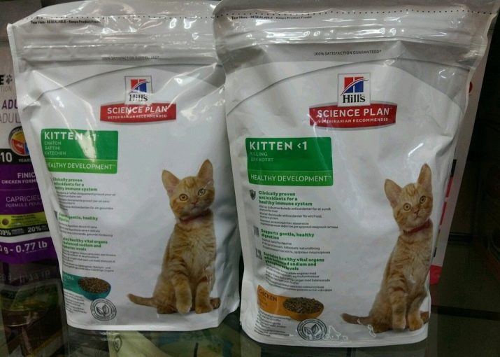 Сухой корм для кошек когда можно давать