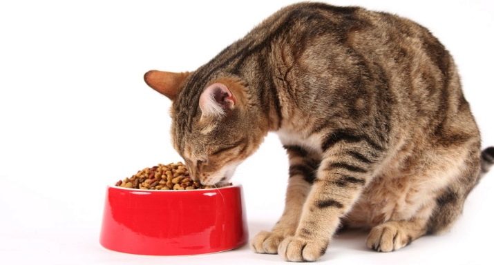 Сухие корма для кастрированных кошек супер премиум класса