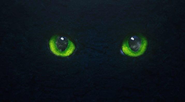 Каким цветом светится глаза у кошке