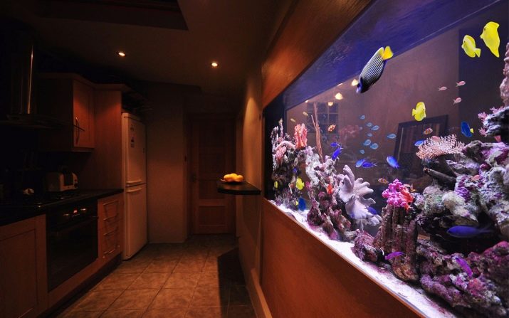 Аквариум в интерьере квартиры: 97 фото больших аквариумов в квартире