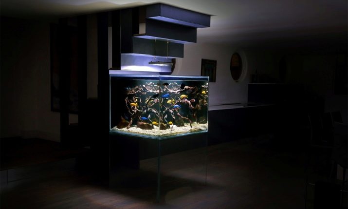 akvariumy na 200 litrov razmery skolko i kakih ryb mozhno derzhat 11