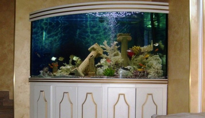 akvariumy na 200 litrov razmery skolko i kakih ryb mozhno derzhat 2