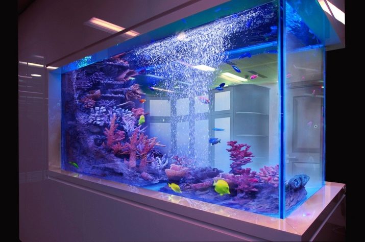 akvariumy na 200 litrov razmery skolko i kakih ryb mozhno derzhat 7