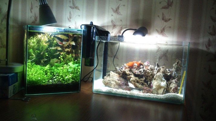 30 литров аквариум сколько рыбок