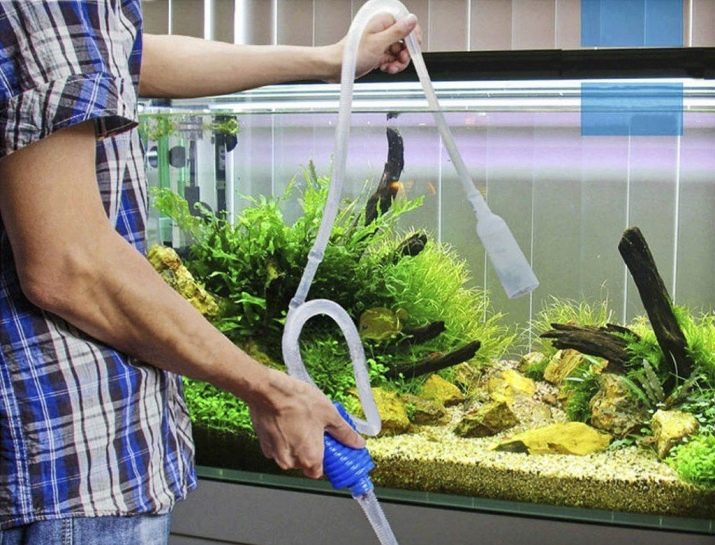 Чем можно обработать аквариум после болезни