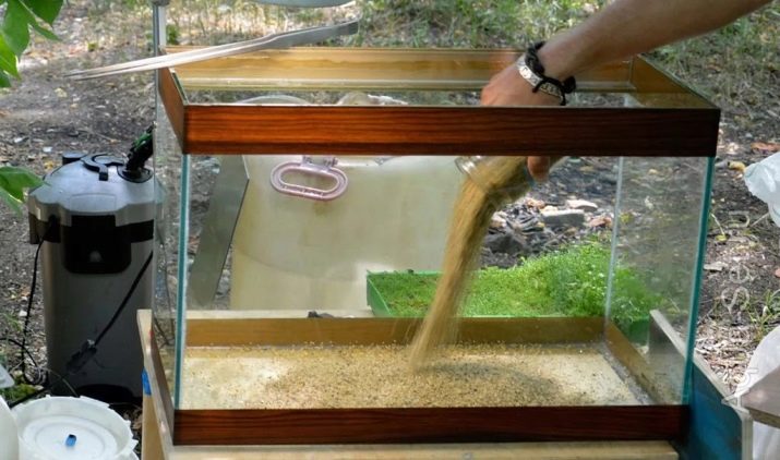 Как обеззаразить аквариум после болезни рыб