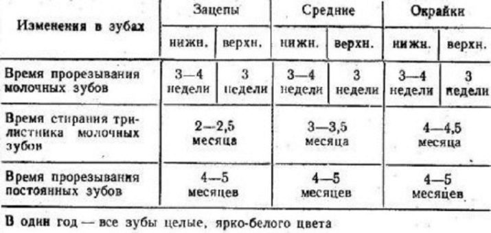 Как узнать какие у собаки зубы