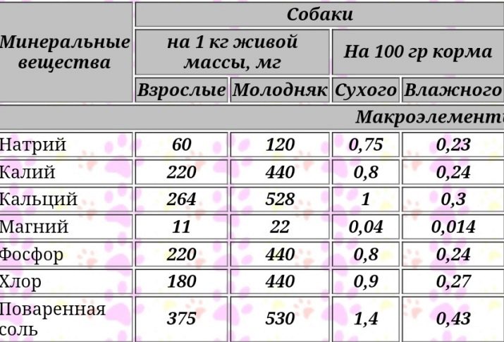 Сухой корм для пожилых собак как выбрать