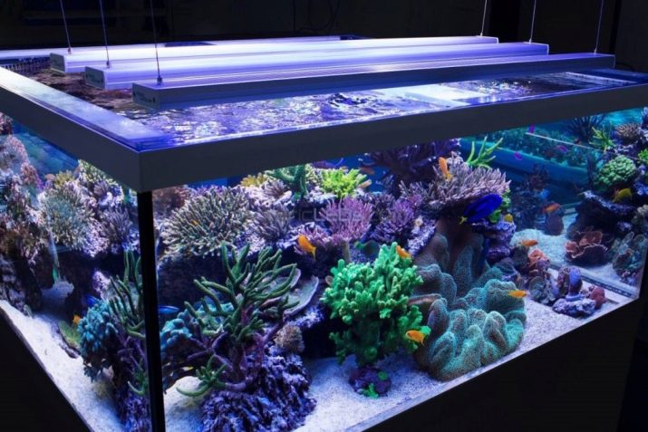 Светодиодное освещение для аквариума - в чем плюсы