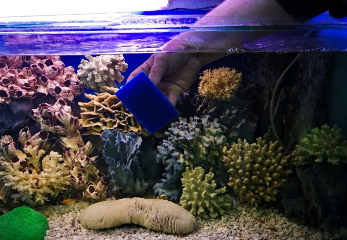 Ультрафиолетовая лампа в аквариуме польза или вред