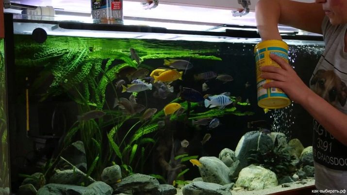 Ультрафиолетовая лампа для аквариума польза