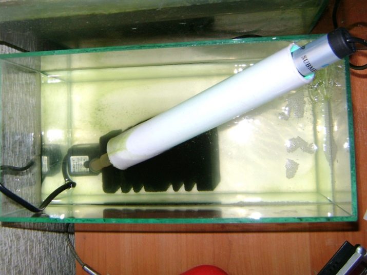 Ультрафиолетовая лампа для аквариума польза