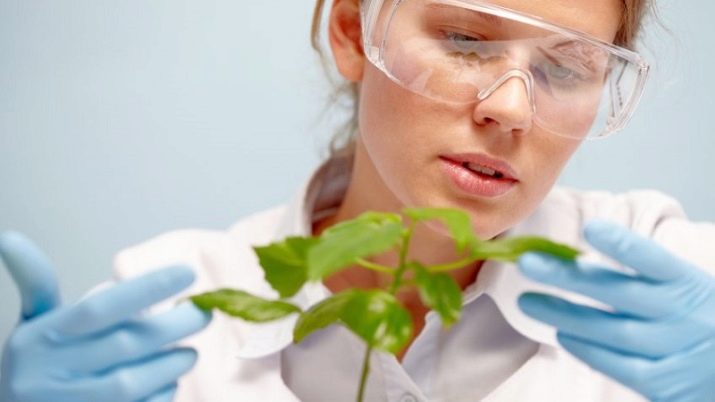 Профессии, связанные с растениями: ботаник и озеленитель, цветовод (цветочница) и другие профессии, связанные с растениеводством
