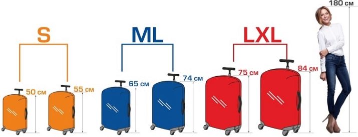 Размер чемодана в поезд под полку