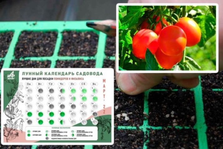 Календарь пикировки томатов в марте 2024 г